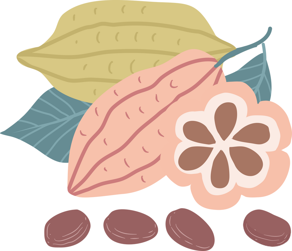 cocoa
