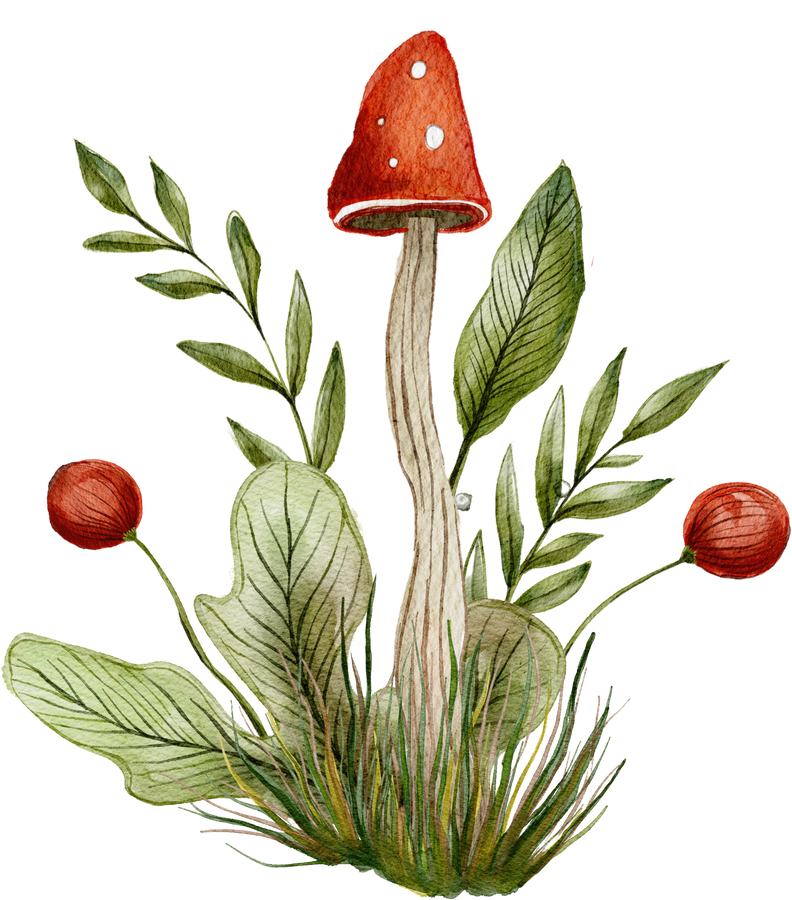 Fungi Mushroom Watercolor