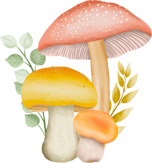 Mushroom Watercolor