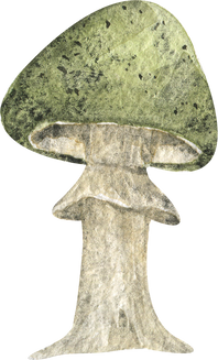 Watercolor Mushroom Illustration 